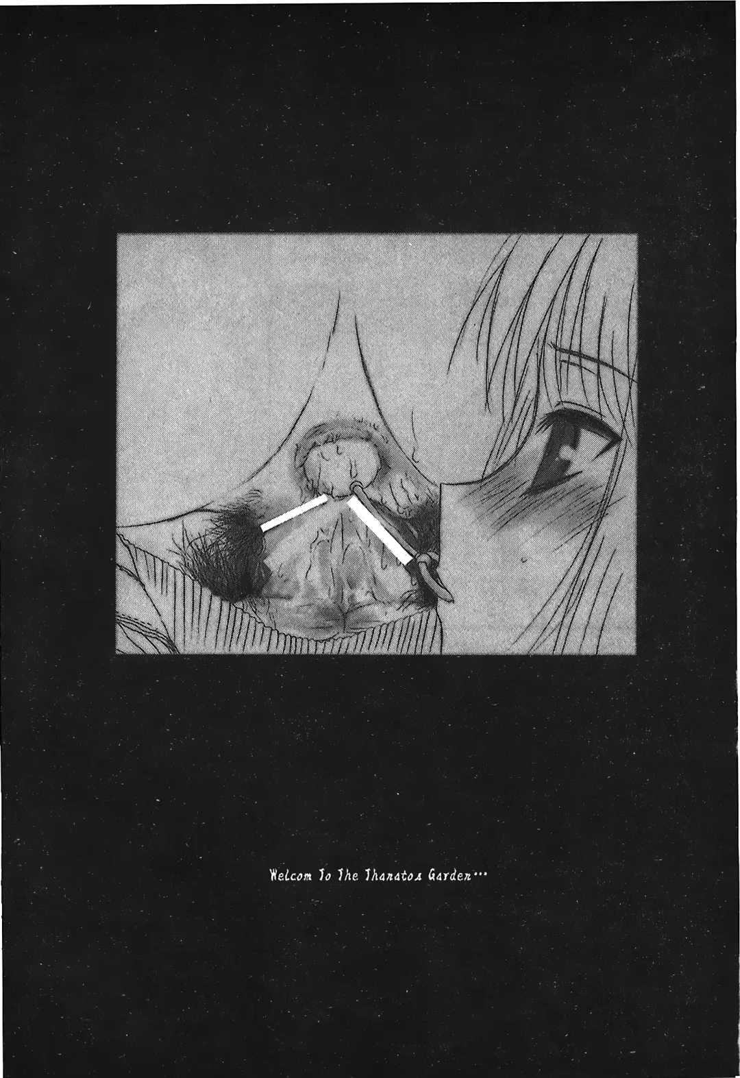 [Alpine] Tsukihime 3 Fhentai - Page 45