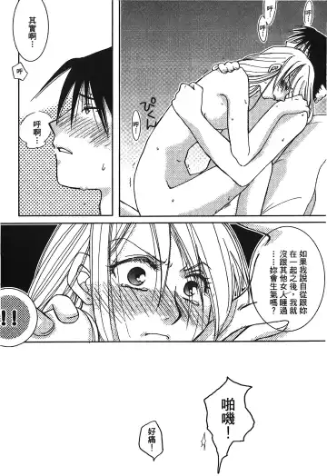 Fullmetal Alchemist 6 Fhentai.net - Page 133