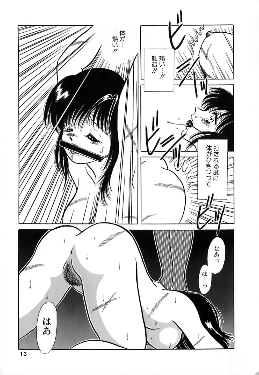 [Yagyuu Ryuu] Mesu no Honnou Fhentai.net - Page 13