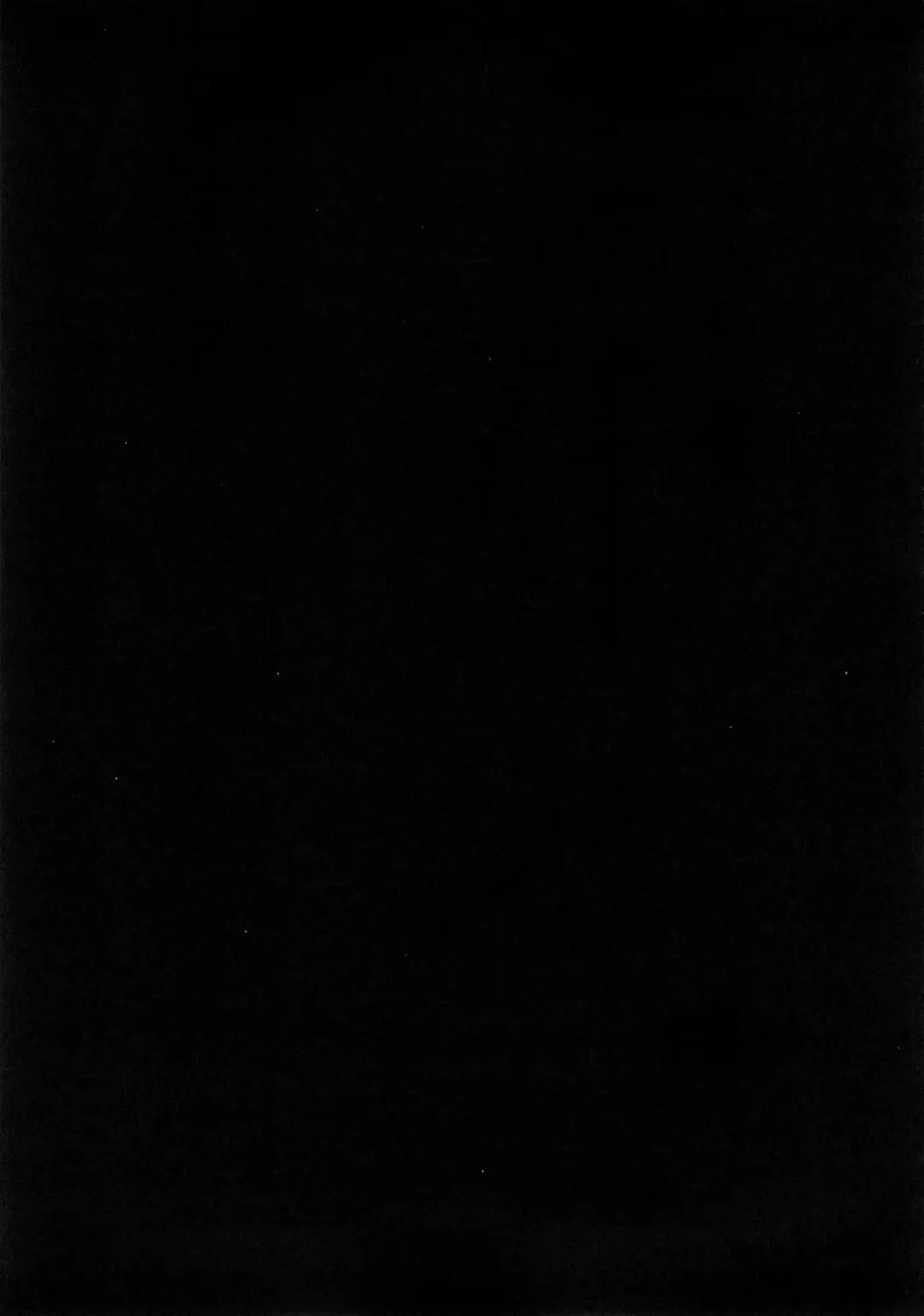 [Usagi Nagomu] Kaika - Ochita Elf Tsuma Fhentai - Page 39