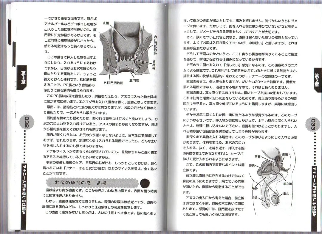 [Abu Hyaku] Hitori de Dekirumon ~ Otokonoko no Tame no Ananie Nyuumon ~ Fhentai - Page 18