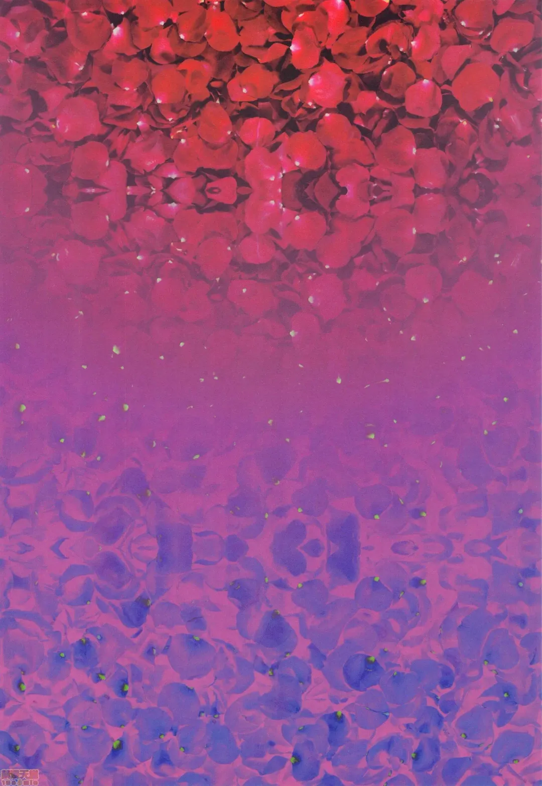 [Aoin] Pei Jiou Nyu Yu Mai Hua Nyu (decensored) Fhentai - Page 3