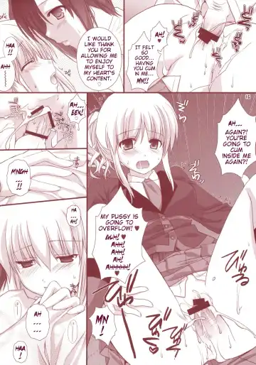 [Sesena Yau] Meirei Dayo Fhentai - Page 15