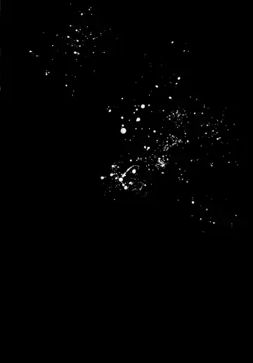 [Riko] Ore to Keiyaku Shimasen ka? Fhentai - Page 28