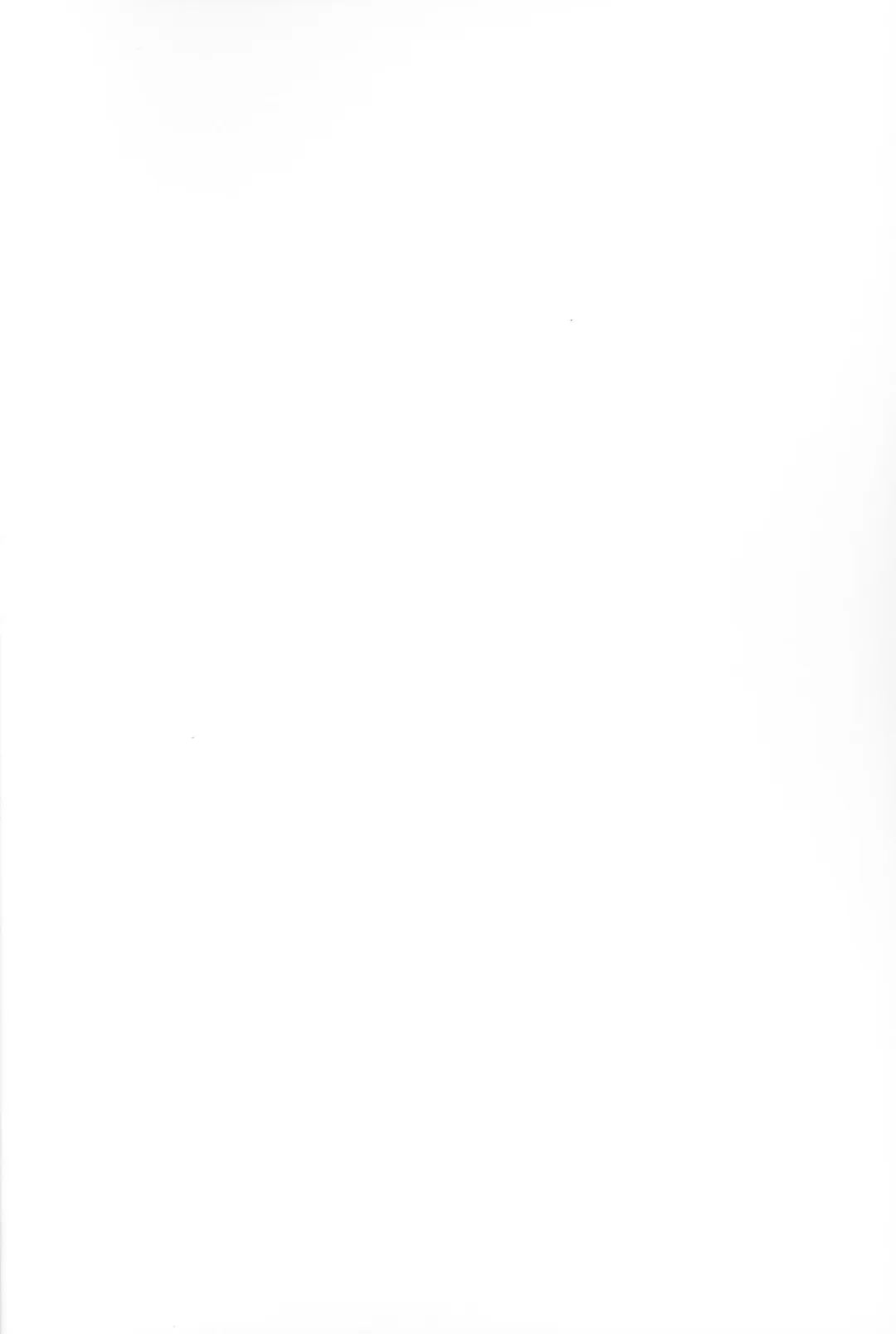 [Nijino Okayu] Mugen-sama, Dou ka Otawamure o Fhentai - Page 4