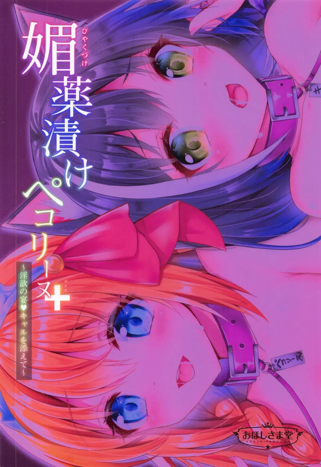 [Geko] Biyakuzuke Pecorine+ ~Inyoku no Utage Kyaru o Soete~ Fhentai - Page 18