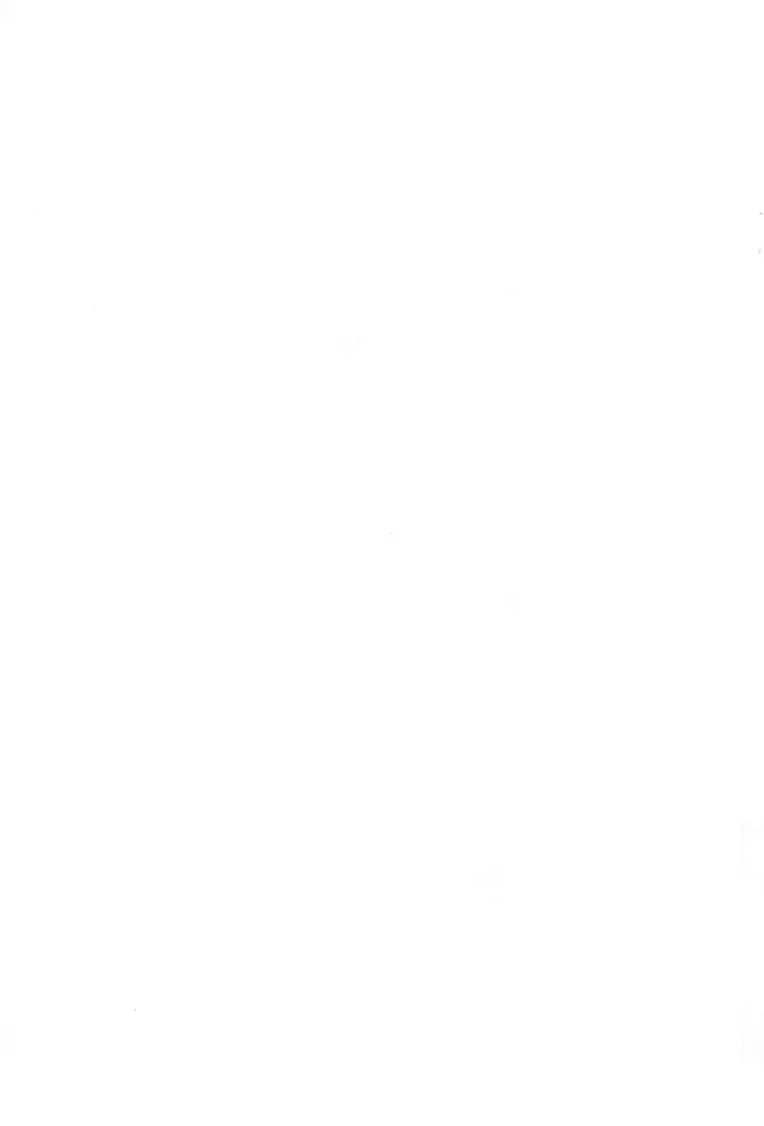 [Serizawa Yuuji] MiLBON Fhentai - Page 13