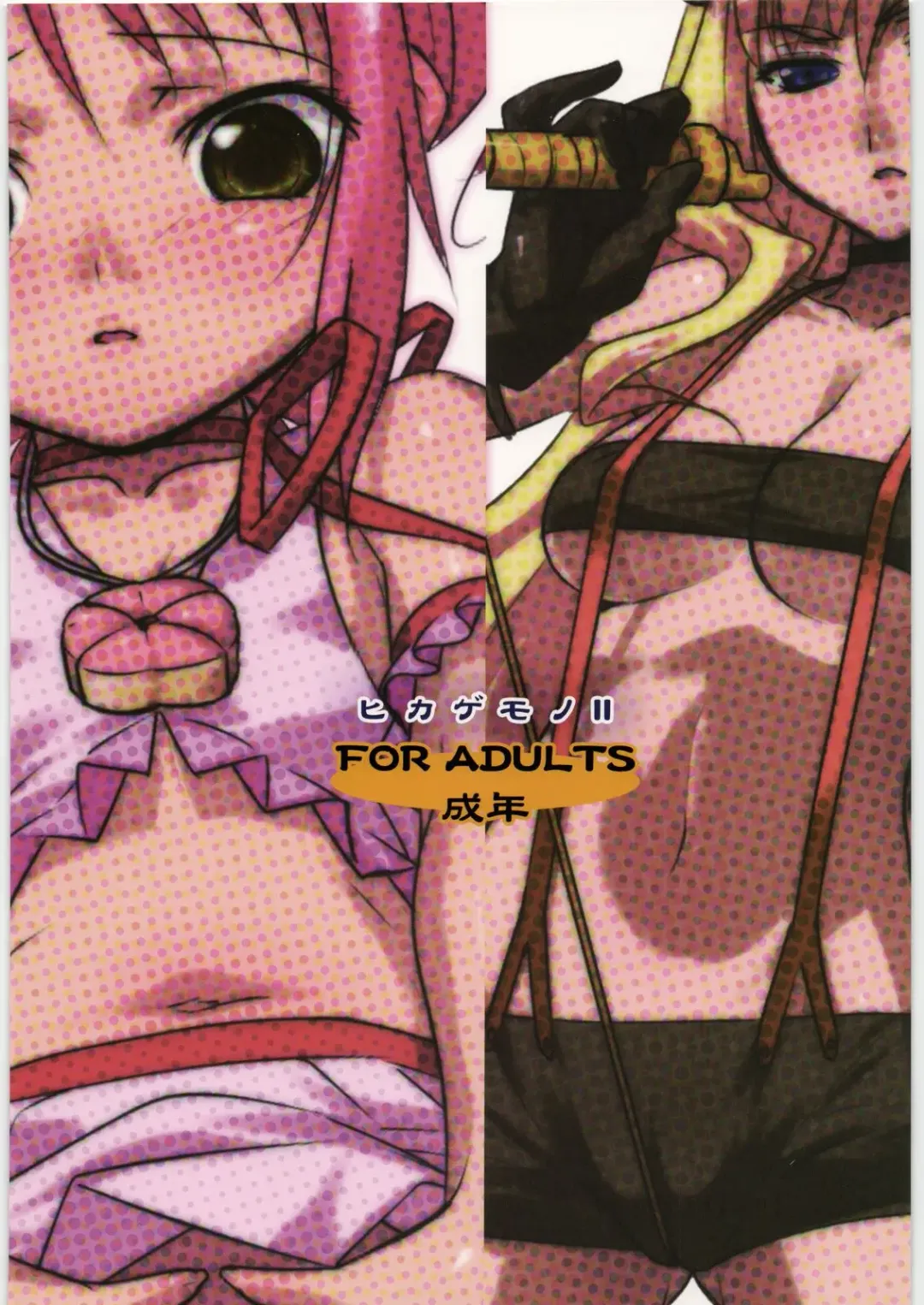 [Hikage Eiji] Hikagemono 2 Fhentai - Page 24