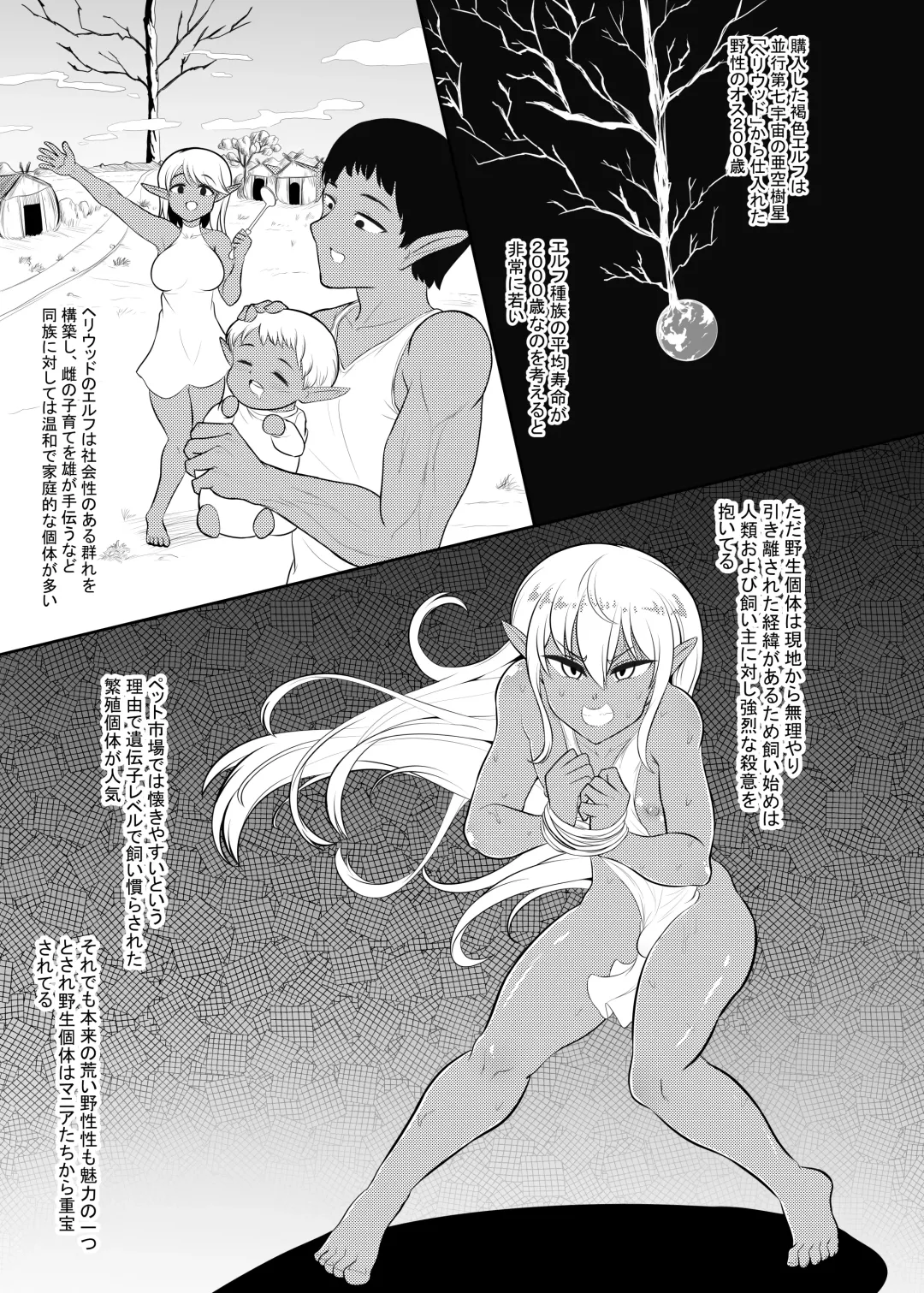 [Hitsujinx] Kasshoku Elf-kun no Kaikata Fhentai - Page 5