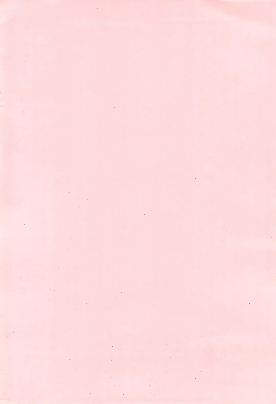 [Okada Kou] Digital Fhentai - Page 12