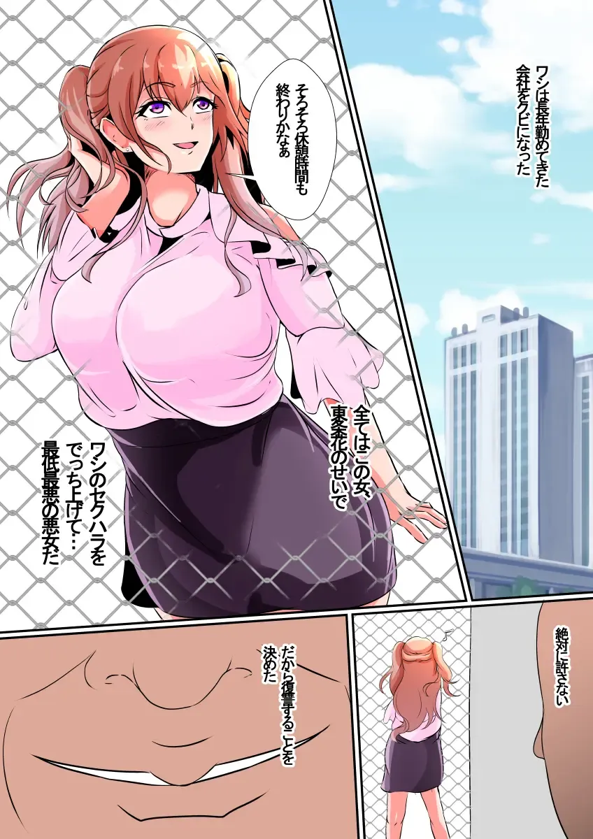 [Shimakawa] Hika Houfuku Fhentai - Page 3