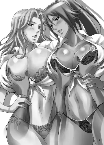 [Haikawa Hemlen] BRICOLA 4 Fhentai - Page 2