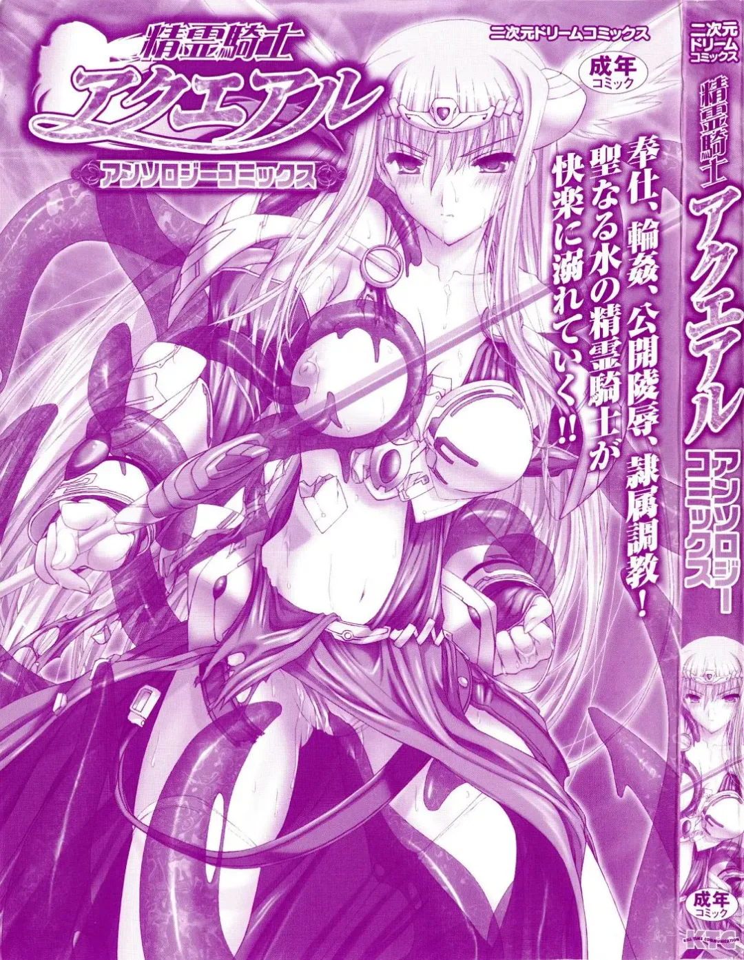 Seirei Kishi Arcuiel Anthology Comics Fhentai - Page 9