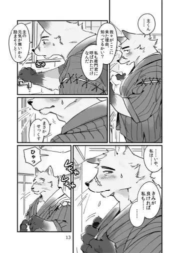 [Ichiboshi] Concon One Day Fhentai - Page 12