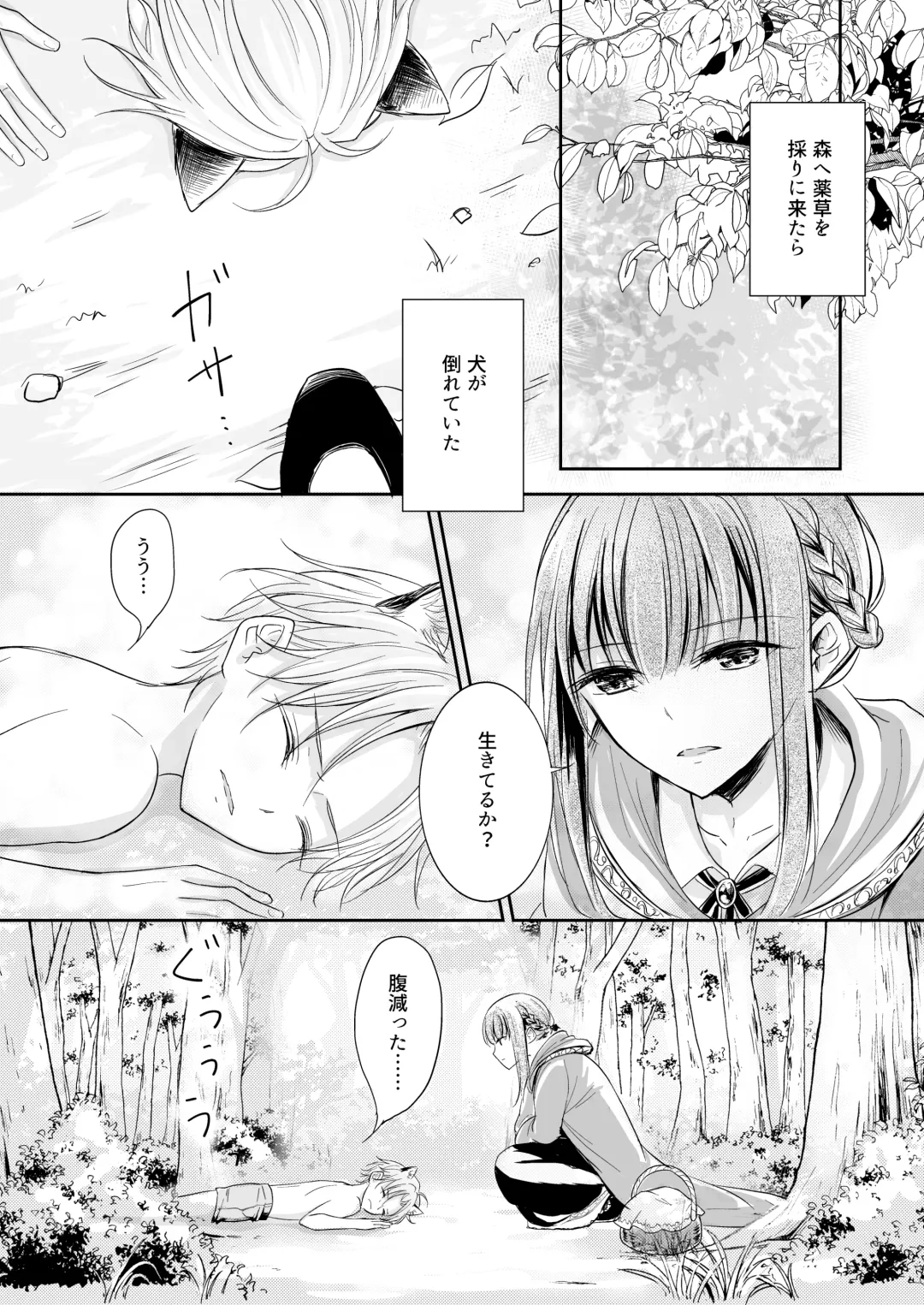 Shitto ~Koinu o Hirotta Majo no Hanashi~ Fhentai - Page 3