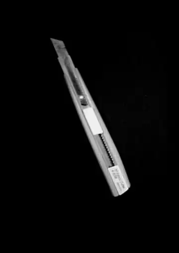 [Amu] Hoshimiya Ichigo no Chitsu Fhentai - Page 20