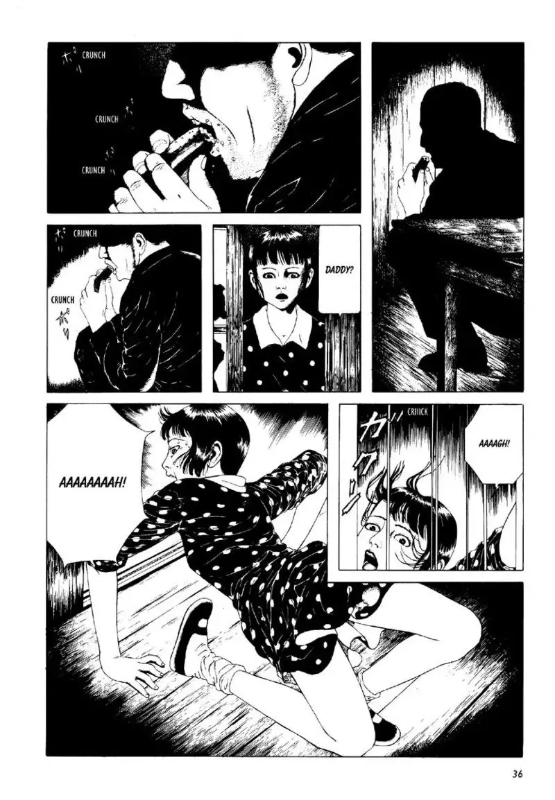 [Maruo Suehiro] Shōjo Tsubaki | Mr. Arashi's Amazing Freak Show Fhentai - Page 44