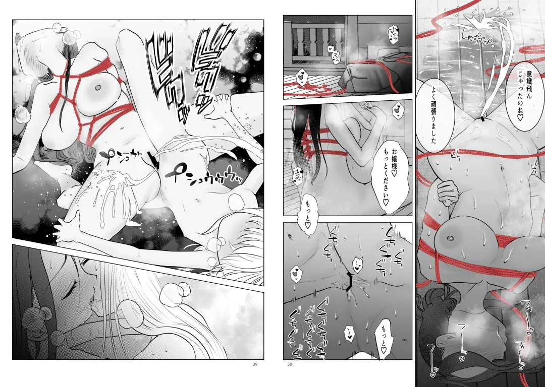 [Serakichi.] Ojou-sama to Meido no Himeyaka naru Kyouraku Fhentai - Page 21