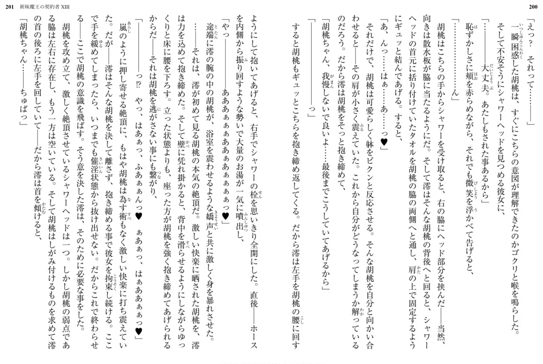 [Ookuma Nekosuke] Shinmai Maou no Testament XIII Fhentai - Page 107