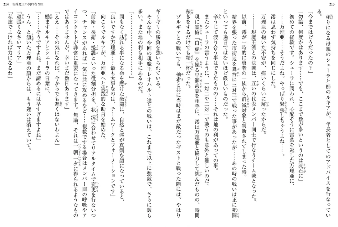 [Ookuma Nekosuke] Shinmai Maou no Testament XIII Fhentai - Page 114