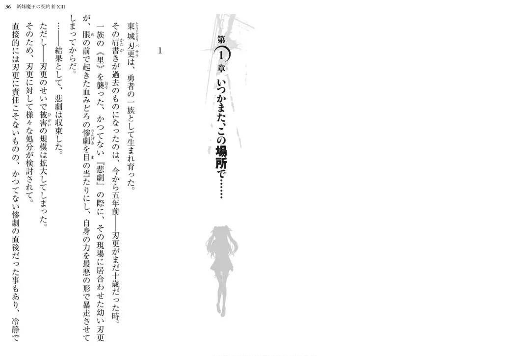 [Ookuma Nekosuke] Shinmai Maou no Testament XIII Fhentai - Page 22