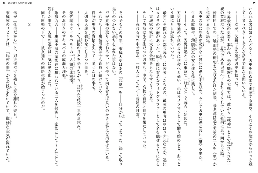 [Ookuma Nekosuke] Shinmai Maou no Testament XIII Fhentai - Page 23