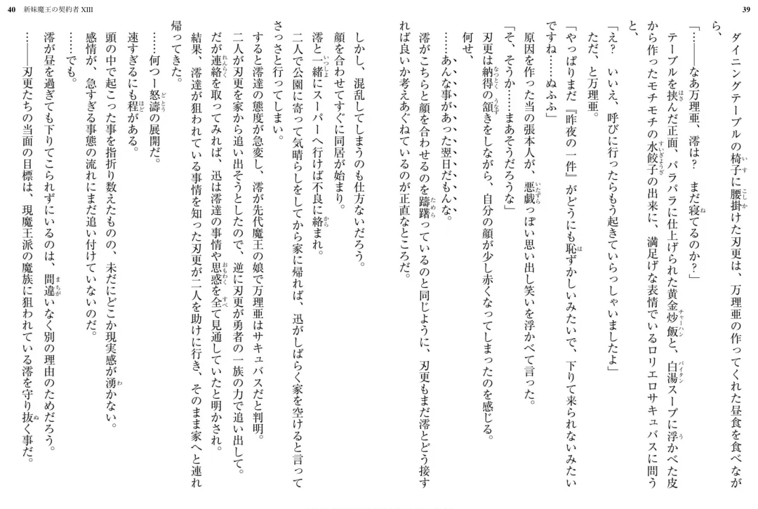 [Ookuma Nekosuke] Shinmai Maou no Testament XIII Fhentai - Page 24