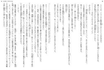 [Ookuma Nekosuke] Shinmai Maou no Testament XIII Fhentai - Page 14