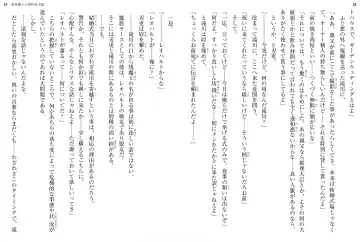 [Ookuma Nekosuke] Shinmai Maou no Testament XIII Fhentai - Page 18