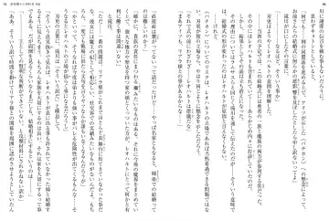 [Ookuma Nekosuke] Shinmai Maou no Testament XIII Fhentai - Page 19