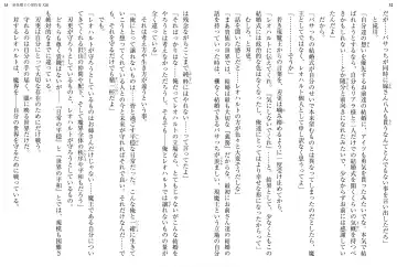 [Ookuma Nekosuke] Shinmai Maou no Testament XIII Fhentai - Page 20