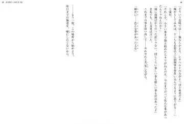 [Ookuma Nekosuke] Shinmai Maou no Testament XIII Fhentai - Page 21