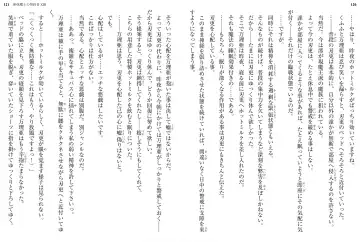 [Ookuma Nekosuke] Shinmai Maou no Testament XIII Fhentai - Page 65