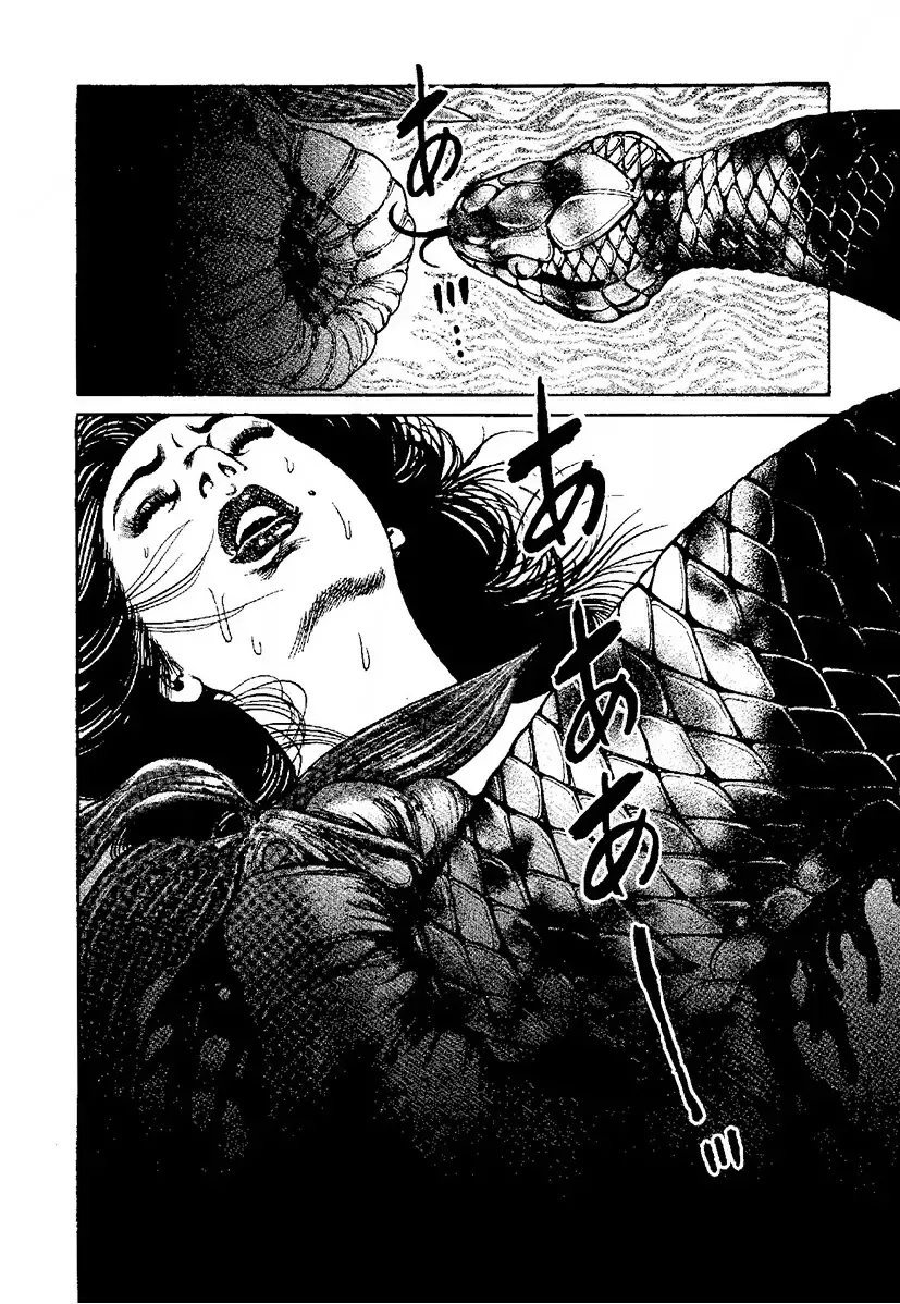 [Kanou Seisaku] Strange Storys: Hana to Hebi Fhentai - Page 197