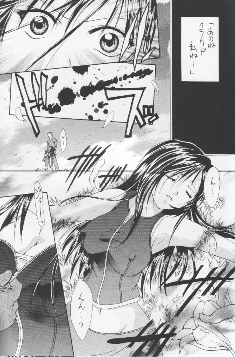 [Setsuna] Setsuna FF COLLECTION Fhentai - Page 6