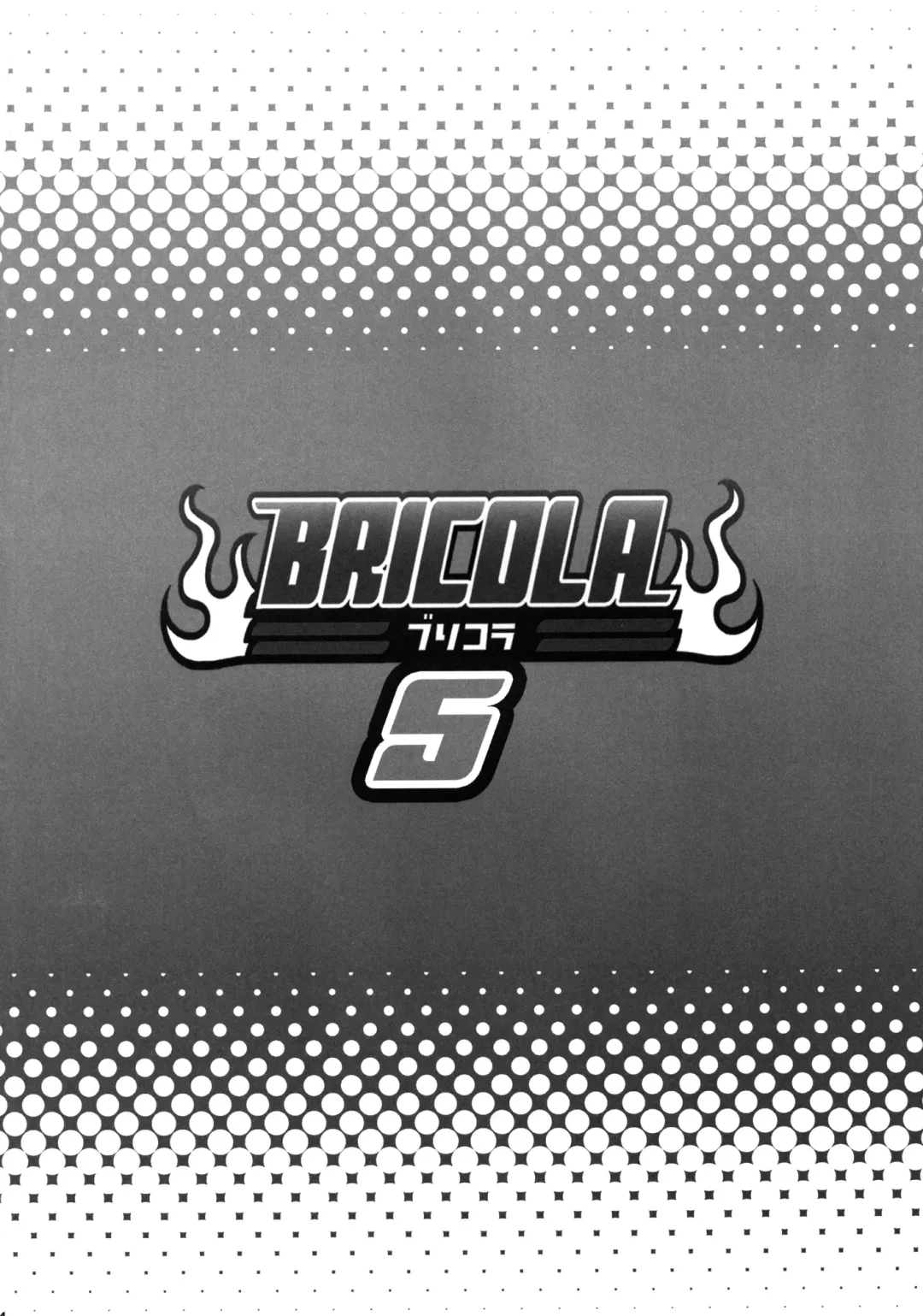 [Haikawa Hemlen] BRICOLA 5 Fhentai - Page 3