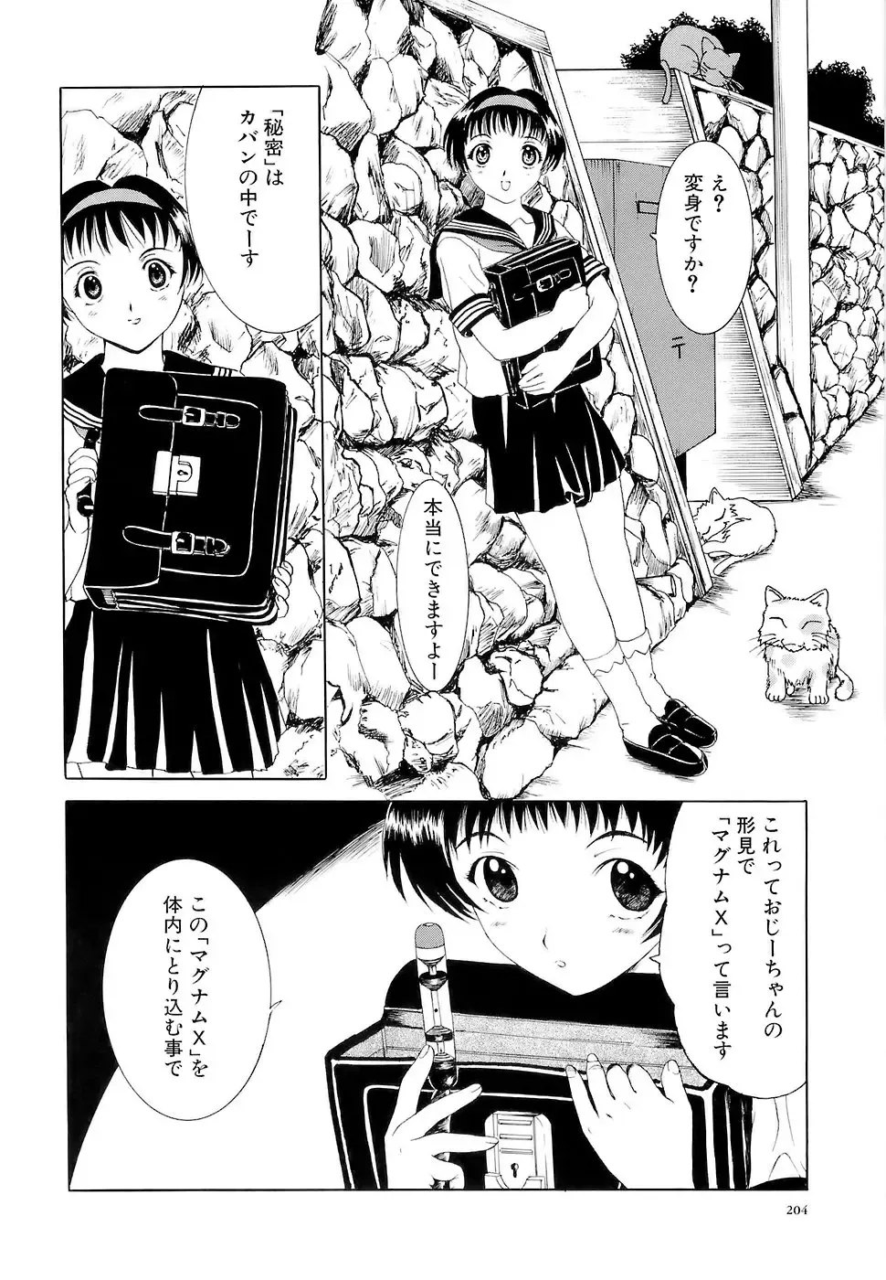 [Kusatsu Terunyo] Mangekyou Fhentai - Page 205