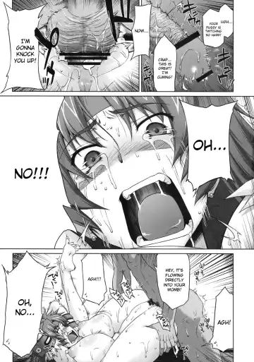 [Seura Isago] Risty-Rin ~Kanzenban~ Fhentai.net - Page 34