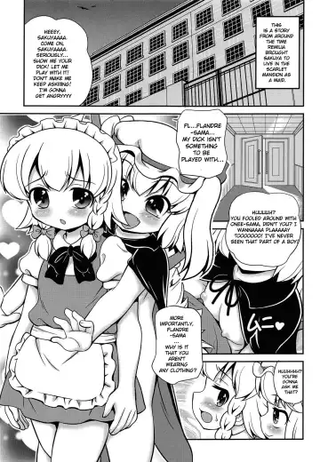 [Arashi-d-akira - Emina - Sasaki Teron] Juguetes Fhentai - Page 2