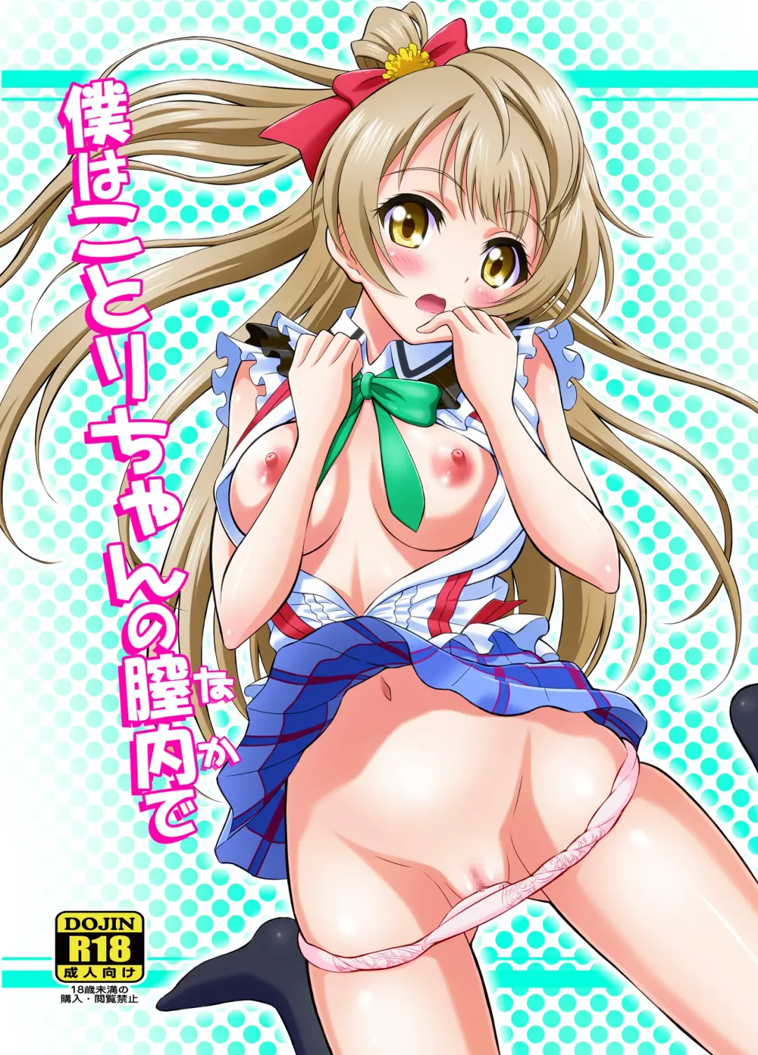 [Harukaze Soyogu] Boku wa Kotori-chan no Naka de Fhentai - Page 1