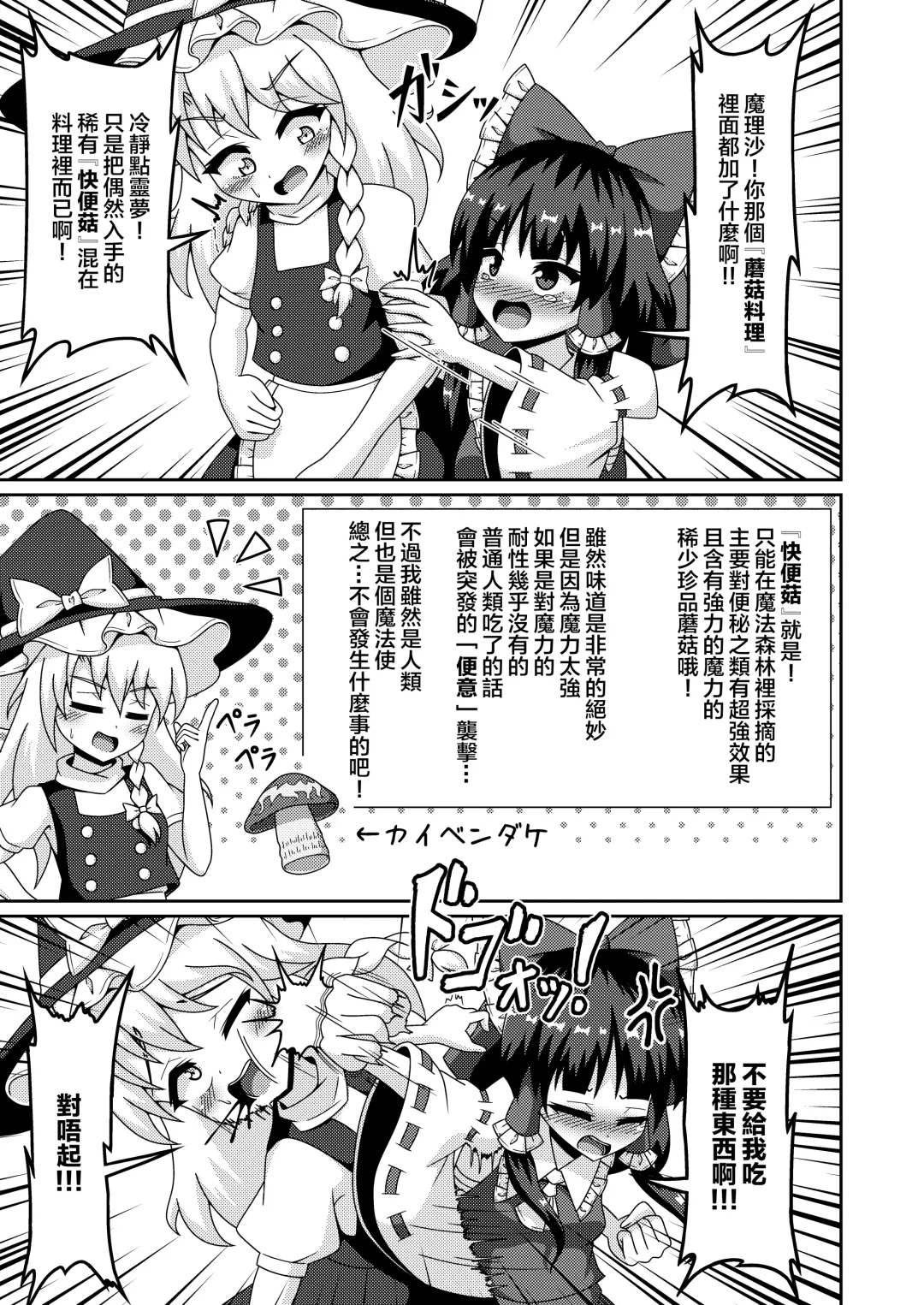 [Seiludo] Reimu no Fuun na Daiihen - Embarrassed Accidents! Fhentai - Page 15