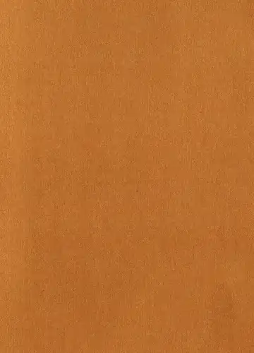 [Maccha - Saiki] Ibutsu Sounyuu Fhentai - Page 3