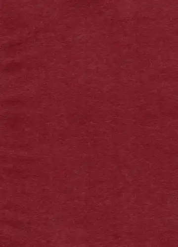 [Maccha - Saiki] Ibutsu Sounyuu Fhentai - Page 4