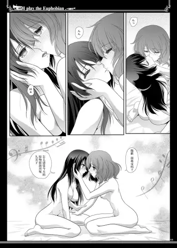 [Shiduki Michiru] Euphobian no Hibiki Duo - Euphobian will resound. Fhentai.net - Page 11