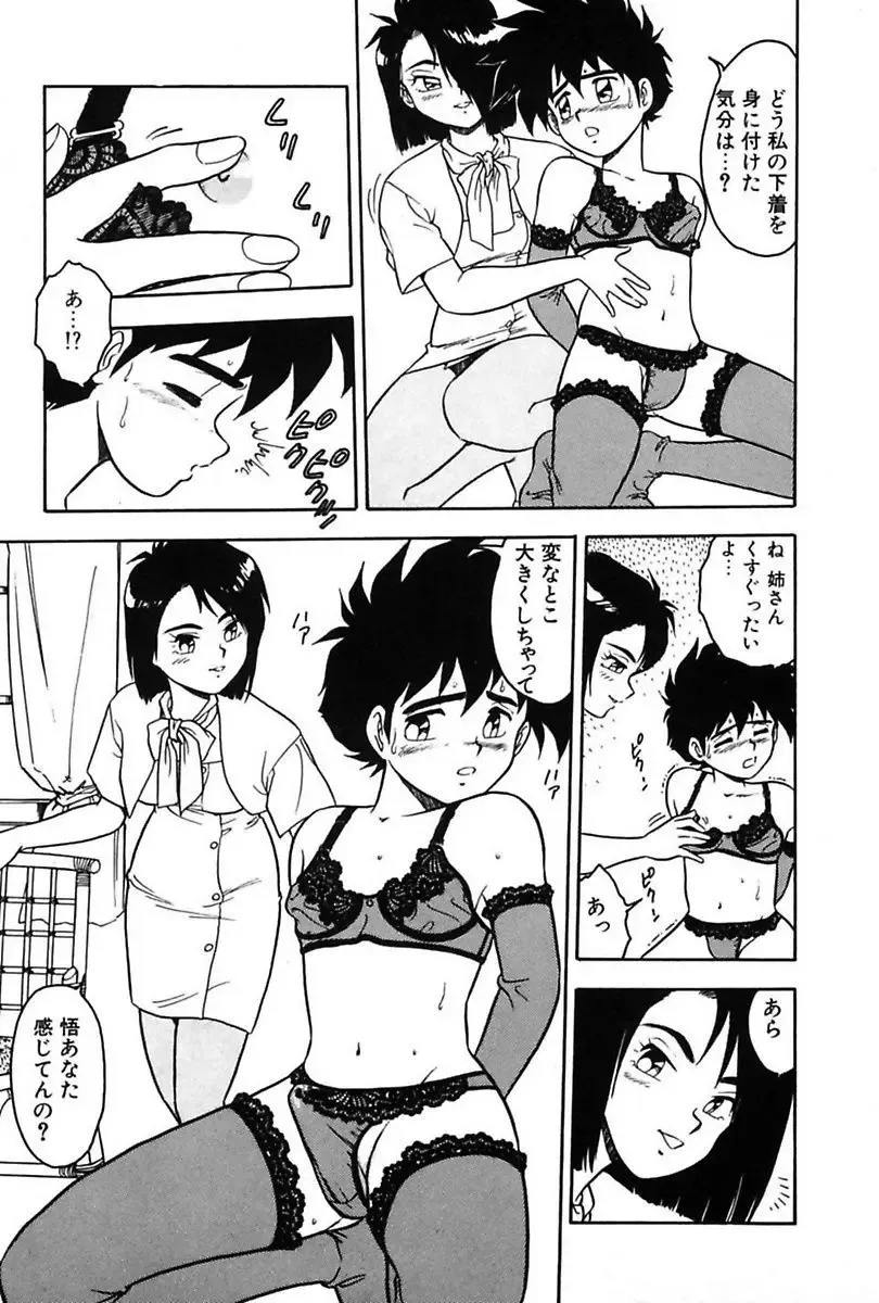 [Shinozaki Rei] Mou Dare mo Aisenai Fhentai - Page 13