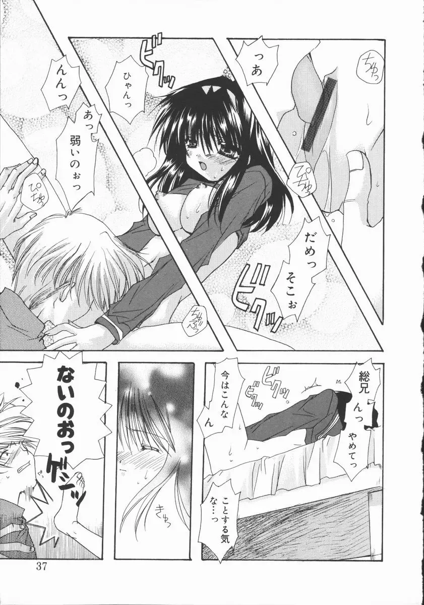 [Ryuga Syo] Mayutan Complex Fhentai - Page 37