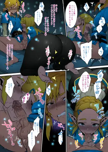 [Morikoke] Hyrule Hanei no Tame no Katsudou! (decensored) Fhentai - Page 11