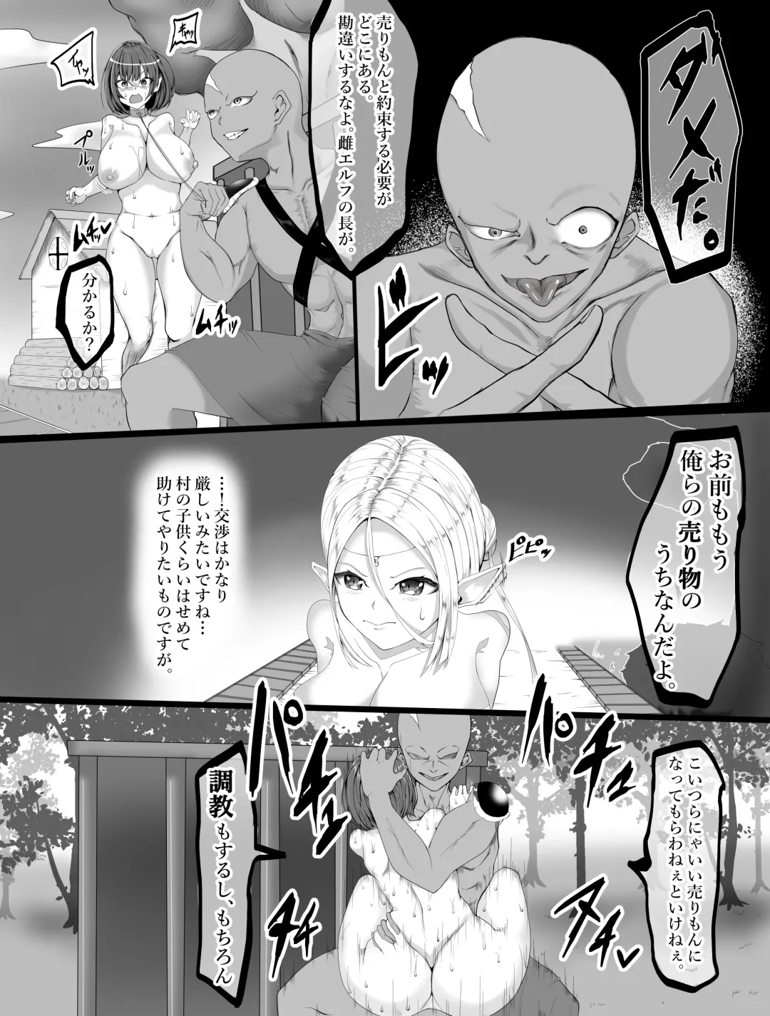 eruhu teihen dorei he to otiru～ tyoukyou hen Fhentai - Page 6