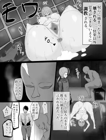 eruhu teihen dorei he to otiru～ tyoukyou hen Fhentai - Page 2