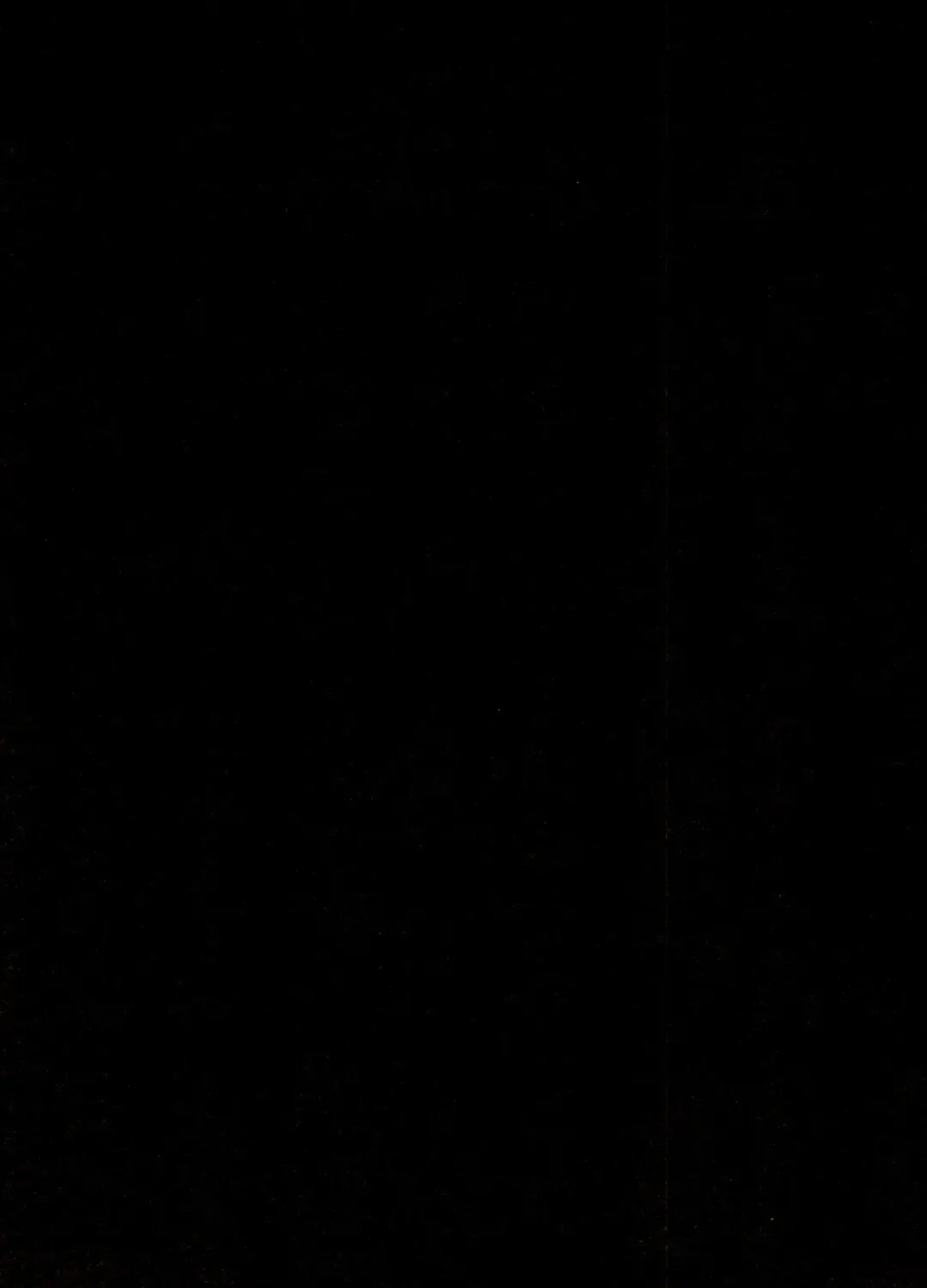 [Koutei Mikado] Rakuyou Fhentai - Page 23